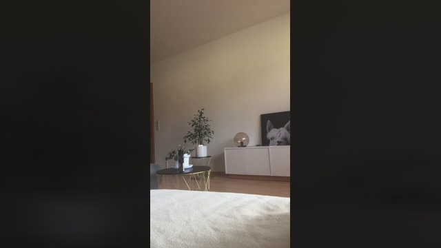 P0l0842  20-02-2022 Recorded Video cute