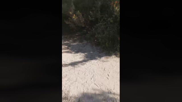 Slavomir78  20-02-2022 Recorded Video sexymale