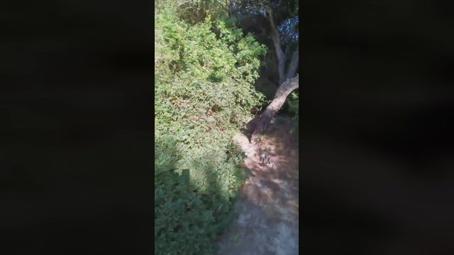 Slavomir78  20-02-2022 video sexykitty