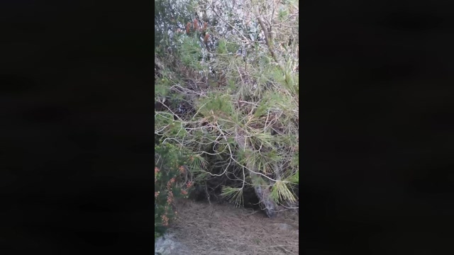Slavomir78  20-02-2022 Recorded Video squirt