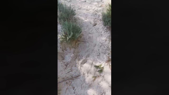 Slavomir78  20-02-2022 video gag