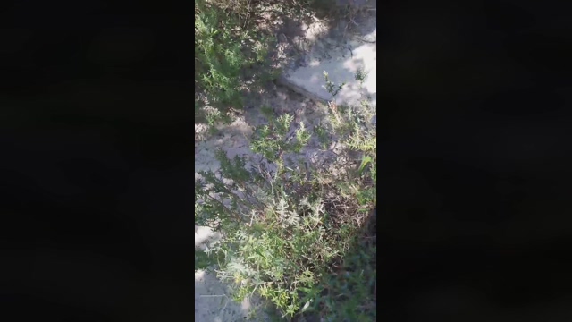 Slavomir78  20-02-2022 Recorded Video spank