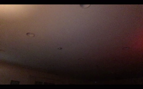 palpation  19-02-2022 Recorded Video lovense