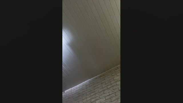 Flexing7  21-02-2022 Recorded Video yummy