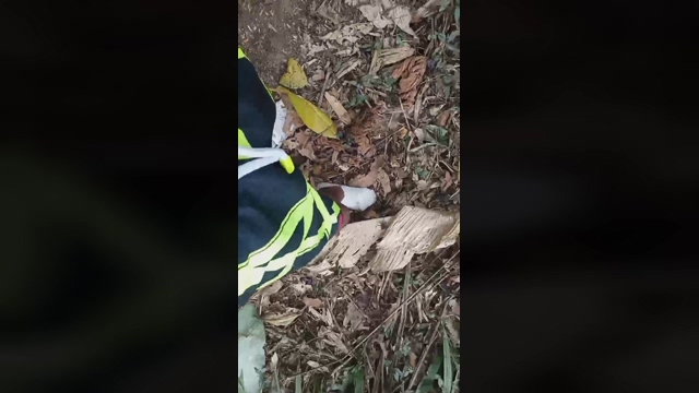 Master_piss  20-02-2022 Recorded Video nasty