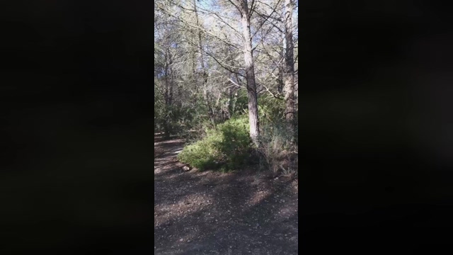 Slavomir78  21-02-2022 video fingers