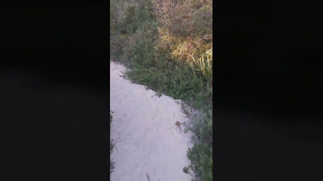 Slavomir78  20-02-2022 video hardcore