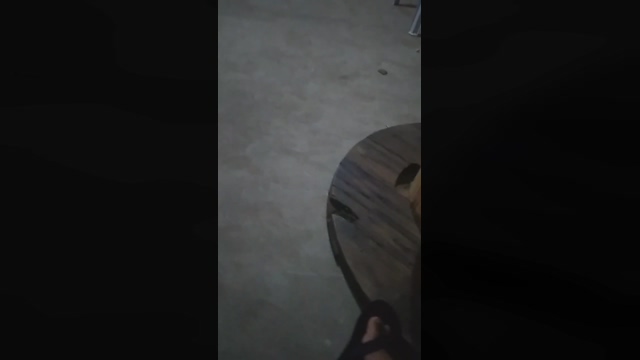 artu87  20-02-2022 Recorded Video Show