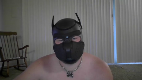 gadgetbear1989  21-02-2022 video horny