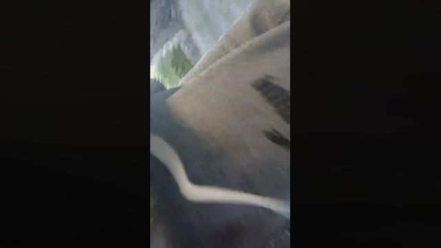 Corale98  22-02-2022 Recorded Video Webcam