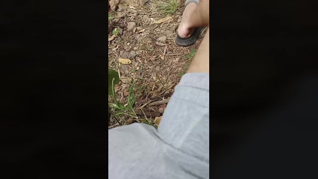 Master_Pork  22-02-2022 Recorded Video big