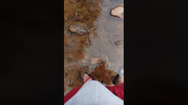 Master_Pork  22-02-2022 video jerking