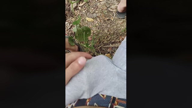 Master_Pork  22-02-2022 video hard