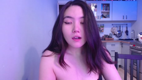 burgun_de_flander 22-02-2022 amateur 
