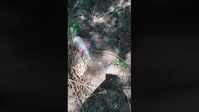 Master_Pork  22-02-2022 video hardcock