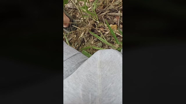 Master_Pork  22-02-2022 video legs