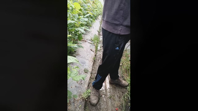 Nenitohuelv  23-02-2022 Recorded Video jerkoff