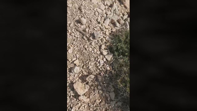 Slavomir78  23-02-2022 video sexykitty