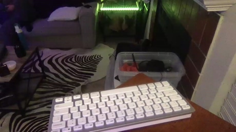 tcanale17  23-02-2022 video big