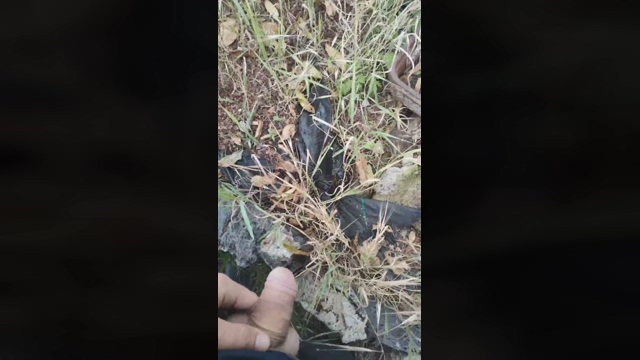Corale98  24-02-2022 Recorded Video beautiful