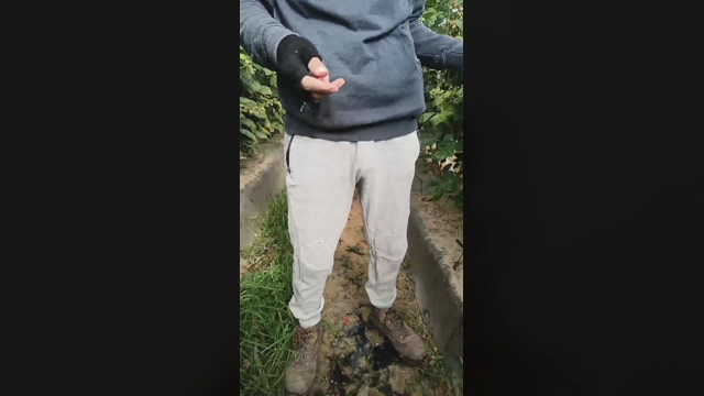 Nenitohuelv  24-02-2022 video analtoy