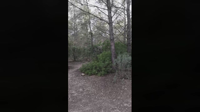 Slavomir78  23-02-2022 Recorded Video prettyface