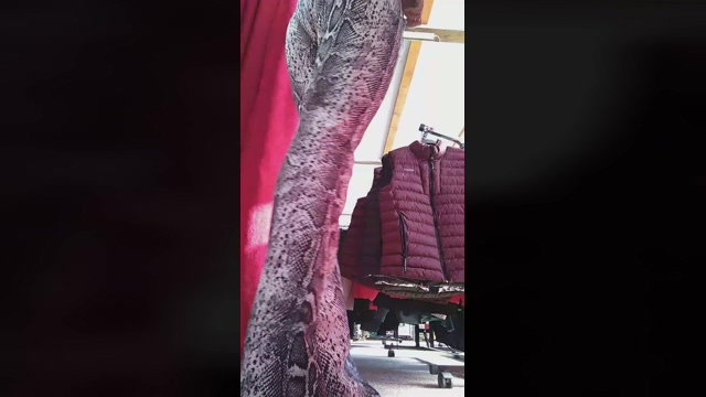 bia_zar94 24-02-2022 Show 