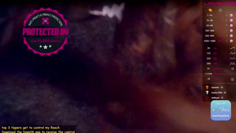 monkeylina 24-02-2022 jerkoff 