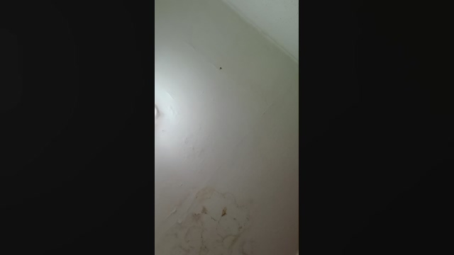 sigilo_total1  24-02-2022 Recorded Video bj-dildo