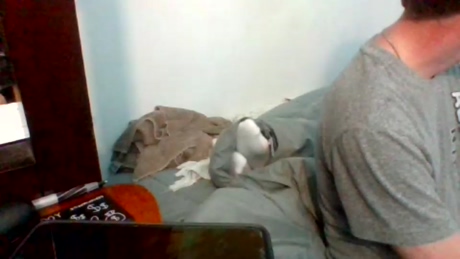 321imthashit_  25-02-2022 video bigdick