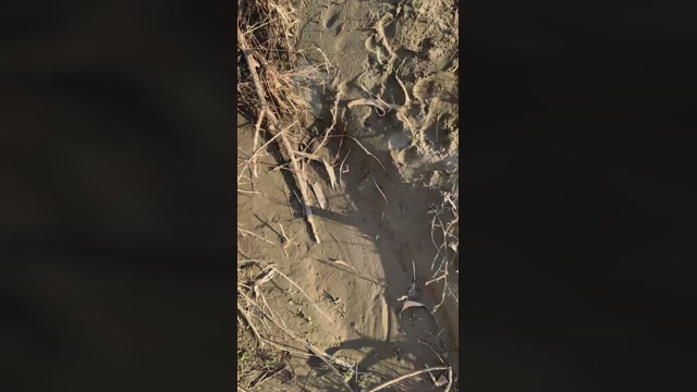 Francifrancy81  24-02-2022 video fuckface