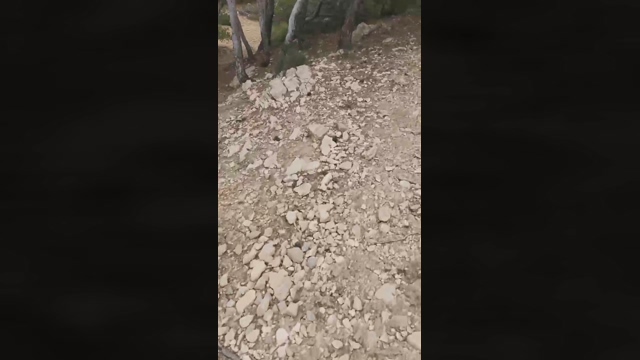Slavomir78  25-02-2022 Recorded Video skinny