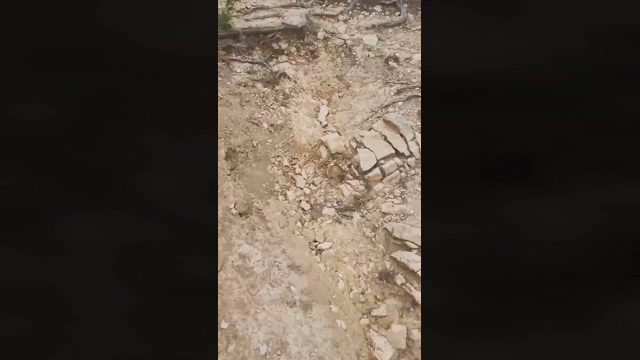 Slavomir78  25-02-2022 Recorded Video show