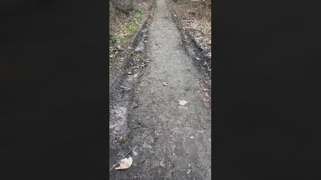 magicman5  25-02-2022 video natural