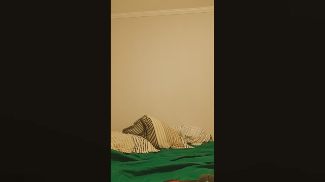 malzahar08  25-02-2022 Recorded Video jackoff