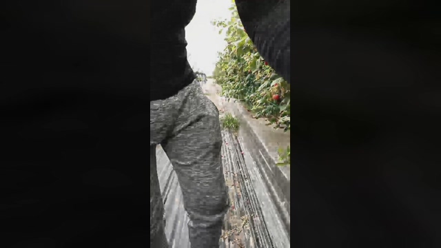 Nenitohuelv  26-02-2022 video prettyface