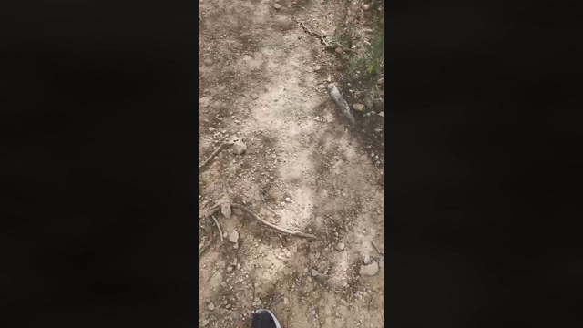 Slavomir78  28-02-2022 Recorded Video Recorded