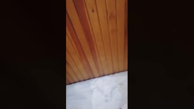kasket45  28-02-2022 Recorded Video wank
