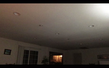 palpation  27-02-2022 video analtoy