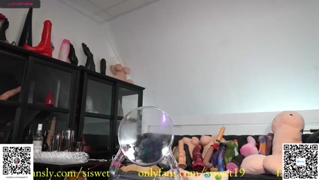 siswet19 28-02-2022 ass 