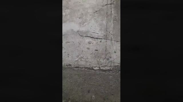 VADO241  01-03-2022 Recorded Video Porn