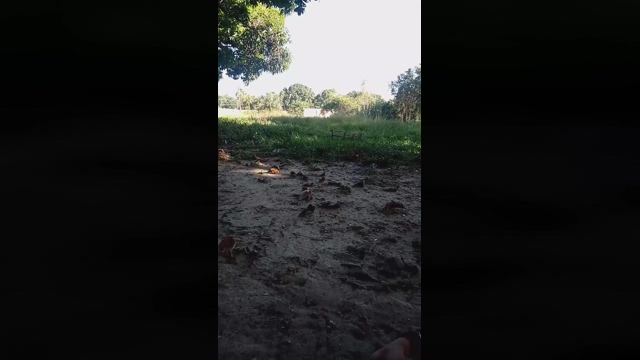 leandro30304  28-02-2022 Recorded Video big
