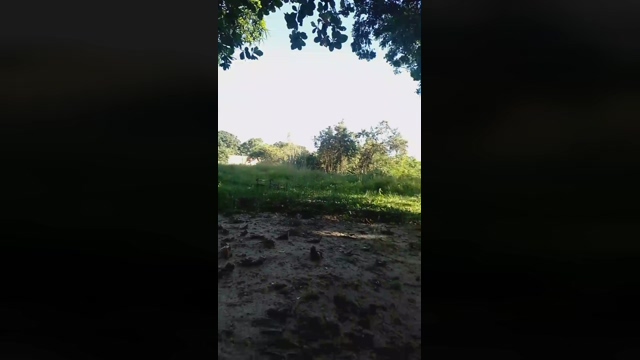 leandro30304  28-02-2022 video bigass