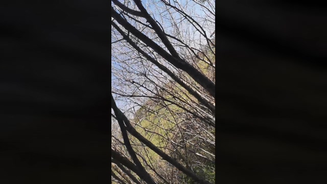 Jojonny  02-03-2022 video Show