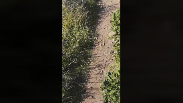 Jojonny  02-03-2022 video Cam