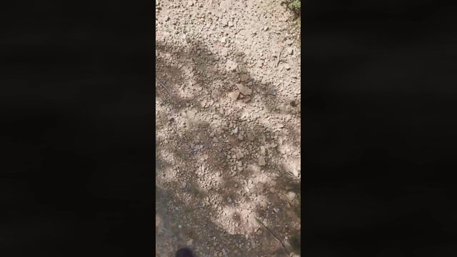 Slavomir78  02-03-2022 video toy