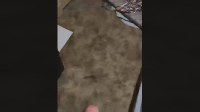 ThatBigDong99  02-03-2022 video fuckher