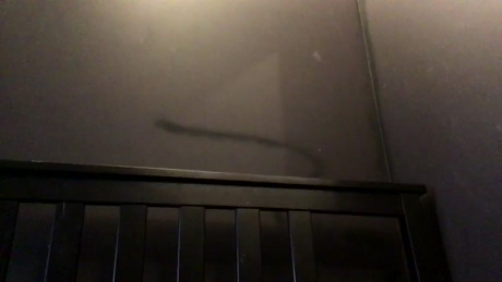 jimmylol42  02-03-2022 video toys