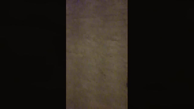 vadinho  02-03-2022 video sexykitty