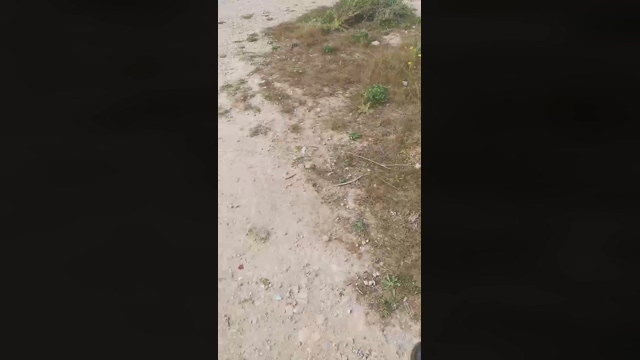 Slavomir78  02-03-2022 Recorded Video Video